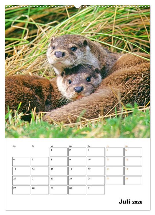 Produktbild: Wilde Tiere: Zuhause in Wald und Flur (hochwertiger Premium Wandkalender 2026 DIN A2 hoch), Kunstdruck in Hochglanz