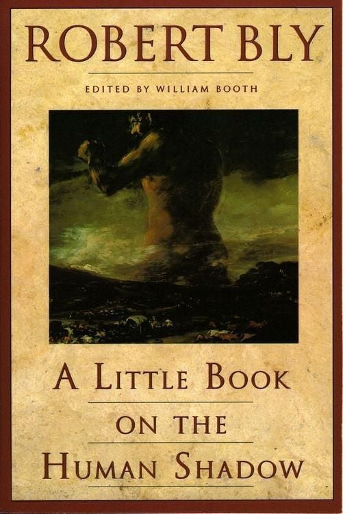 Produktbild: A Little Book on the Human Shadow