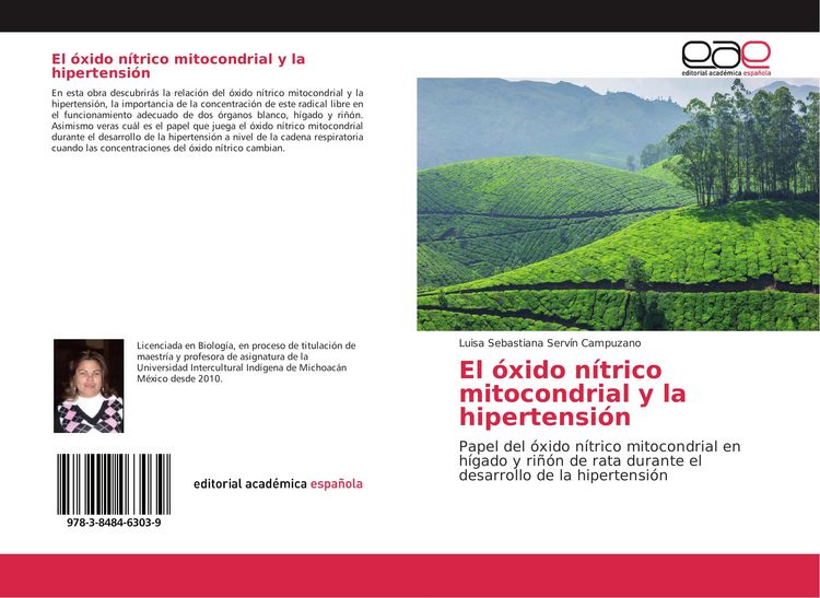 Produktbild: El &oacute;xido n&iacute;trico mitocondrial y la hipertensi&oacute;n