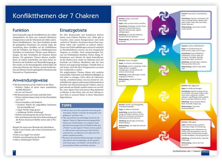 Produktbild: Praxisbuch Neue Hom&ouml;opathie. Band 2