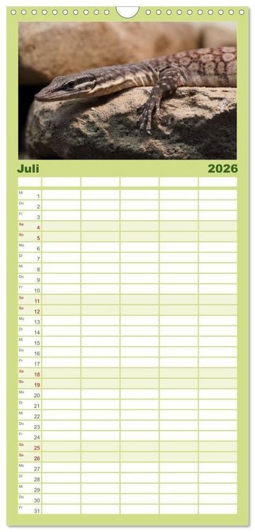 Produktbild: Familienplaner 2026 - Echsen - Schuppige &Uuml;berlebensk&uuml;nstler mit 5 Spalten (Wandkalender, 21 x 45 cm) CALVENDO