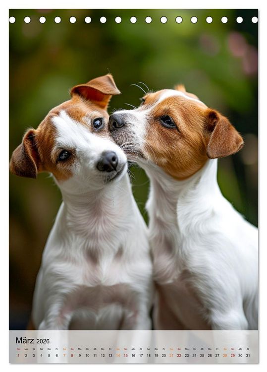 Produktbild: Jack Russel Terrier - furchtlos und viel Selbstvertrauen (Tischkalender 2026 DIN A5 hoch), CALVENDO Monatskalender