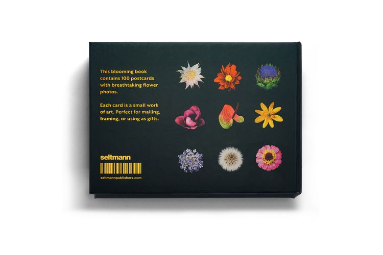 Produktbild: The Blooming Book
