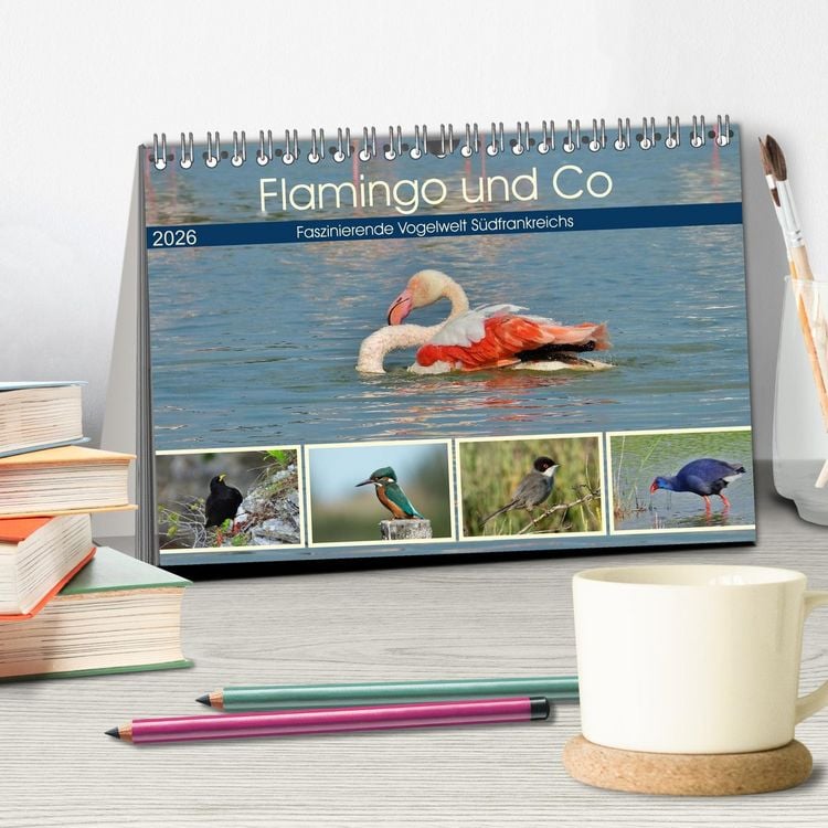 Produktbild: Flamingo und Co - Faszinierende Vogelwelt S&uuml;dfrankreichs (Tischkalender 2026 DIN A5 quer), CALVENDO Monatskalender