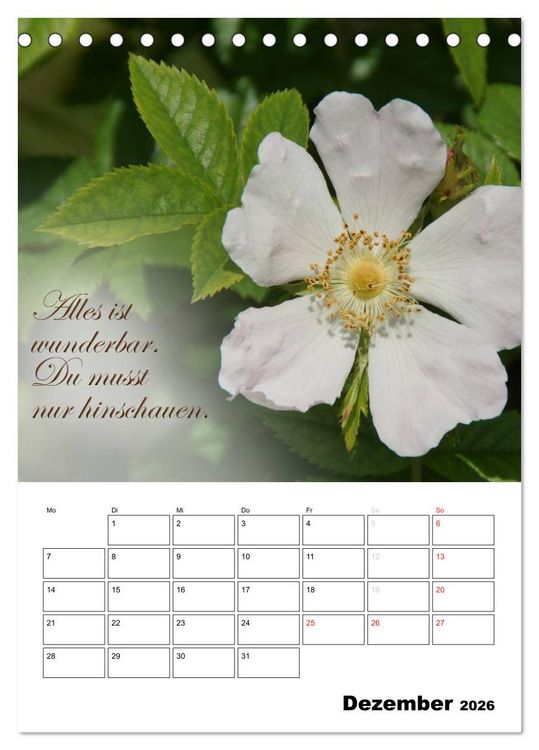 Produktbild: Sch&ouml;ne Spr&uuml;che f&uuml;r Dein ganzes Jahr (Tischkalender 2026 DIN A5 hoch), CALVENDO Monatskalender