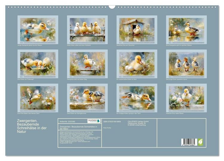 Produktbild: Zwergenten. Bezaubernde Schreih&auml;lse in der Natur (Wandkalender 2027 DIN A2 quer), CALVENDO Monatskalender