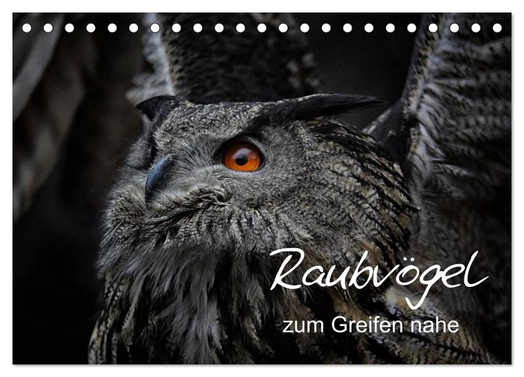 Produktbild: Raubv&ouml;gel zum Greifen nahe (Tischkalender 2026 DIN A5 quer), CALVENDO Monatskalender