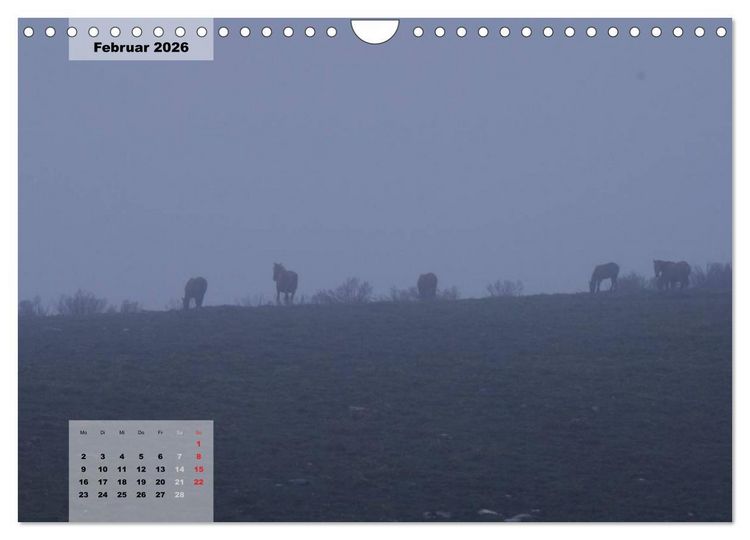 Produktbild: Nordportugal - Heimat der letzten wilden Pferde (Wandkalender 2026 DIN A4 quer), CALVENDO Monatskalender