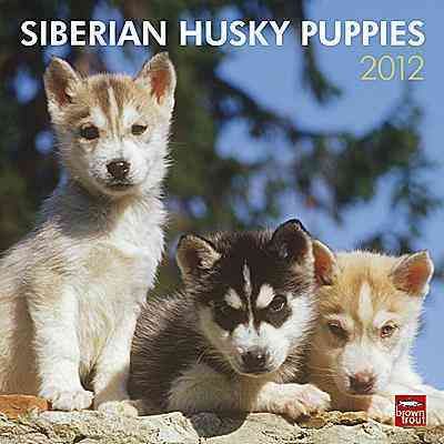 Produktbild: Siberian Husky Puppies 2012 Calendar