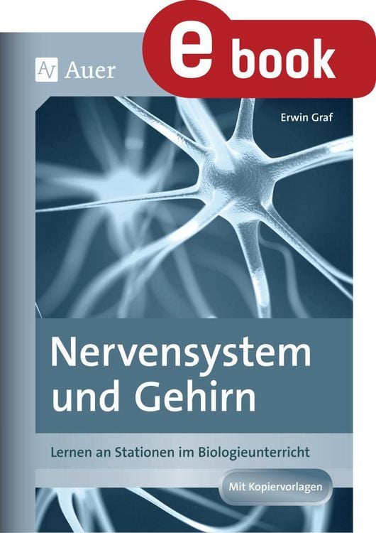 Produktbild: Nervensystem und Gehirn