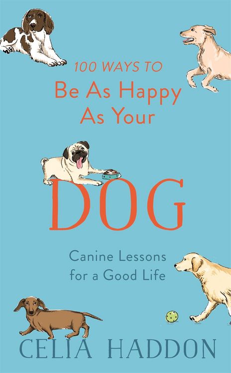 Produktbild: 100 Ways to Be as Happy as Your Dog