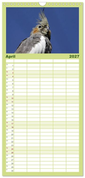 Produktbild: Familienplaner 2027 - Nymphensittiche mit 5 Spalten (Wandkalender, 21 x 45 cm) CALVENDO