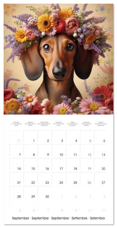 Produktbild: Dachshund Joy and Flower Beauty (Wall Calendar 2026 12 &times; 12 Inch) CALVENDO 12 Month Wall Calendar