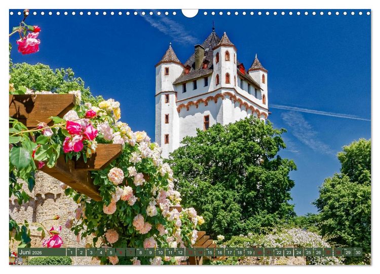 Produktbild: Eltville am Rhein - Wein, Sekt, Rosen (Wandkalender 2026 DIN A3 quer), CALVENDO Monatskalender