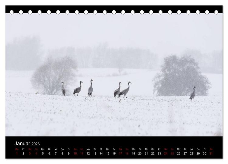 Produktbild: Naturwunder Norddeutschlands (Tischkalender 2026 DIN A5 quer), CALVENDO Monatskalender