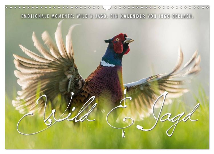 Produktbild: Emotionale Momente: Wild und Jagd. (Wandkalender 2026 DIN A3 quer), CALVENDO Monatskalender