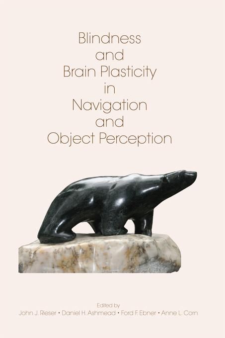 Produktbild: Blindness and Brain Plasticity in Navigation and Object Perception