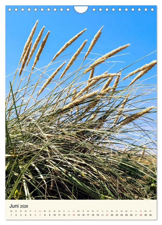 Produktbild: LANGEOOG Strandspaziergang (Wandkalender 2026 DIN A4 hoch), CALVENDO Monatskalender
