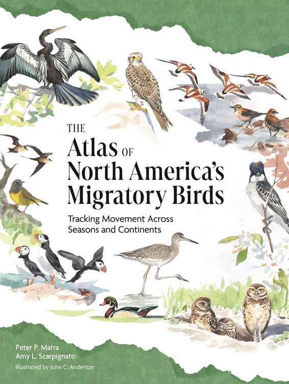 Produktbild: The Atlas of North America's Migratory Birds