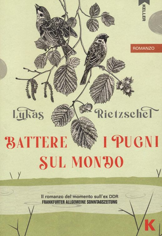 Produktbild: Battere i pugni sul mondo