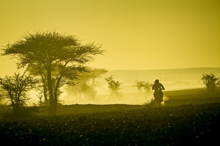 Africa Race - Zwei Brüder zwischen Paris und Dakar [2 DVDs]