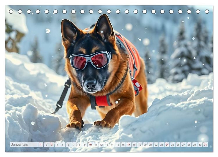 Produktbild: Sch&auml;ferhund 24/7 - Keine Pause f&uuml;r echte Helden (Tischkalender 2027 DIN A5 quer), CALVENDO Monatskalender