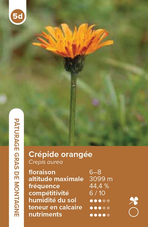 Produktbild: Habitats pelouses et prairies &ndash; le jeu du quatuor