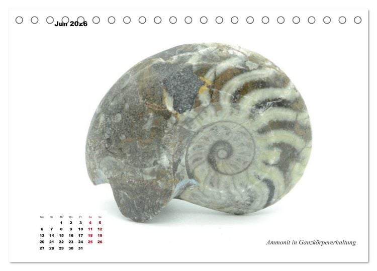 Produktbild: Fossilien - Ammoniten, Trilobiten, Erdgeschichte (Tischkalender 2026 DIN A5 quer), CALVENDO Monatskalender