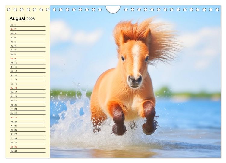 Produktbild: Kleine Pferde. Mini-Ponys zum verlieben (Wandkalender 2026 DIN A4 quer), CALVENDO Monatskalender
