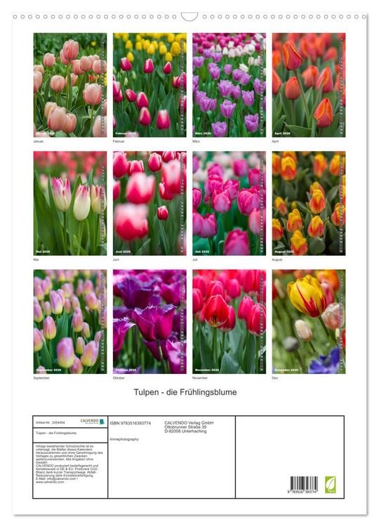 Produktbild: Tulpen - die Fr&uuml;hlingsblume (Wandkalender 2026 DIN A2 hoch), CALVENDO Monatskalender