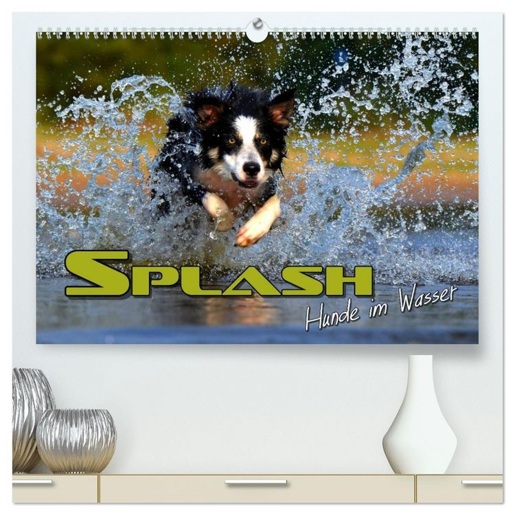 Produktbild: SPLASH - Hunde im Wasser (hochwertiger Premium Wandkalender 2026 DIN A2 quer), Kunstdruck in Hochglanz