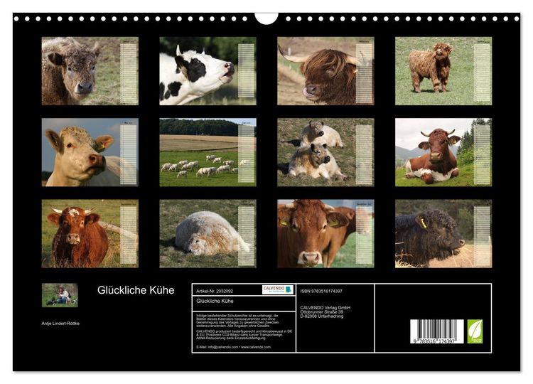 Produktbild: Gl&uuml;ckliche K&uuml;he (Wandkalender 2026 DIN A3 quer), CALVENDO Monatskalender