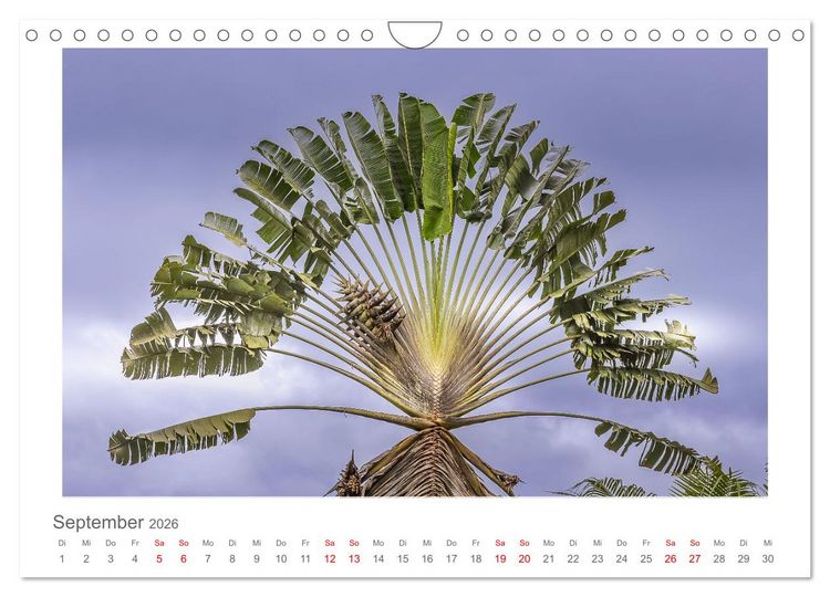 Produktbild: Costa Rica - unterwegs mit Julia Hahn (Wandkalender 2026 DIN A4 quer), CALVENDO Monatskalender