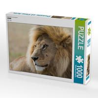 Produktbild: CALVENDO Puzzle L&ouml;we | 1000 Teile Lege-Gr&ouml;&szlig;e 64x48cm Foto-Puzzle f&uuml;r gl&uuml;ckliche Stunden