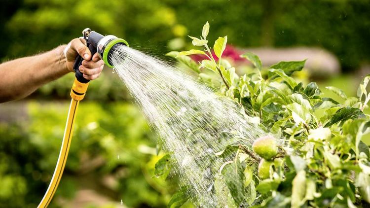 Produktbild: Bosch Home and Garden GardenPump 18V Akku-Gartenpumpe 540 l/h 1.8m