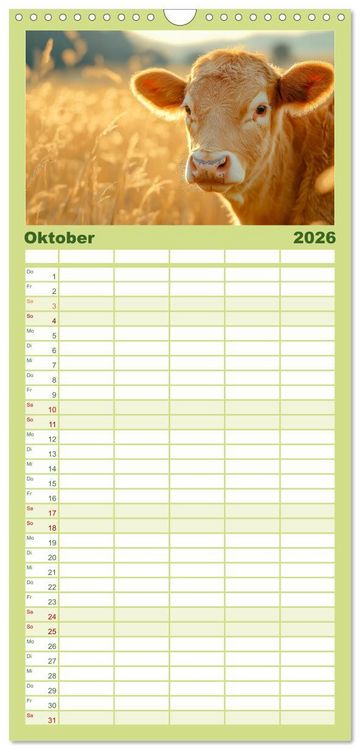 Produktbild: Familienplaner 2026 - K&Uuml;HE AUF DER ALM &ndash; Der Kalender aus Bayern mit 5 Spalten (Wandkalender, 21 x 45 cm) CALVENDO