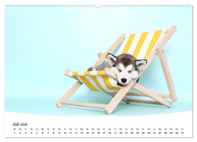 Produktbild: S&uuml;&szlig;e Tr&auml;ume 2026 - schlafende Hundewelpen (hochwertiger Premium Wandkalender 2026 DIN A2 quer), Kunstdruck in Hochglanz