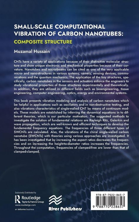 Produktbild: Small-scale Computational Vibration of Carbon Nanotubes