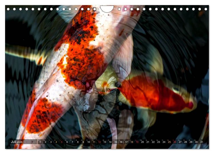 Produktbild: Nishikigoi &ndash; Koikarpfen in ihrer Welt (Wandkalender 2026 DIN A4 quer), CALVENDO Monatskalender