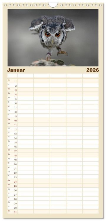 Produktbild: Familienplaner 2026 - Eulen - sch&ouml;n und geheimnisvoll mit 5 Spalten (Wandkalender, 21 x 45 cm) CALVENDO