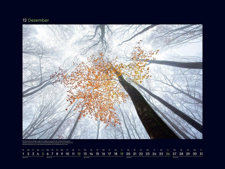 Produktbild: Farbenpr&auml;chtige Jahreszeiten - KUNTH Wandkalender 2027