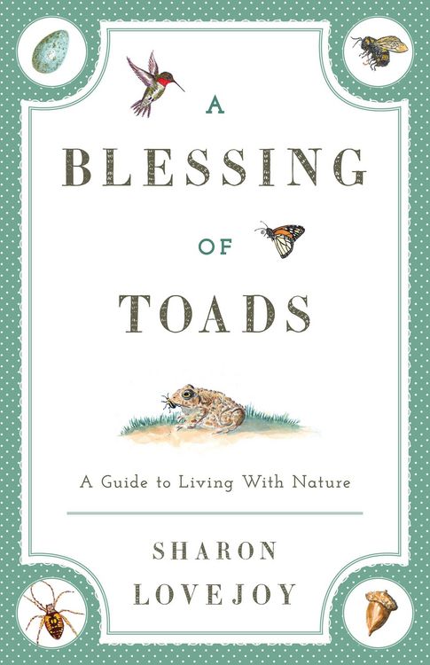 Produktbild: A Blessing of Toads
