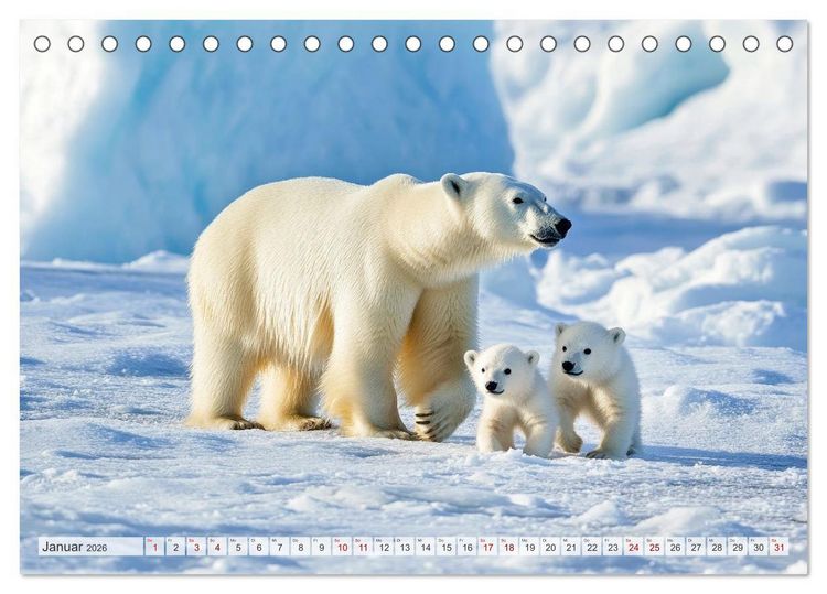 Produktbild: ARKTISCHE TIERE Im Reich der K&auml;lte (Tischkalender 2026 DIN A5 quer), CALVENDO Monatskalender