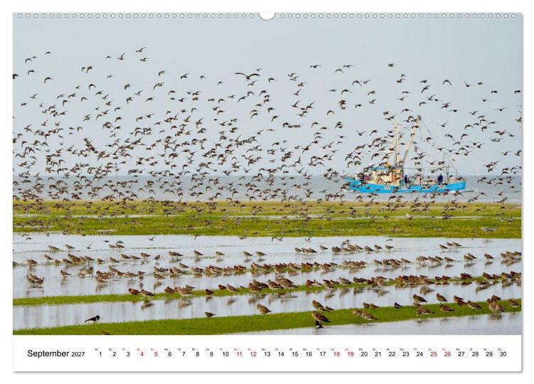 Produktbild: Pellwormer Ogenblicke, ein Streifzug durch ein Inseljahr (hochwertiger Premium Wandkalender 2027 DIN A2 quer), Kunstdruck in Hochglanz