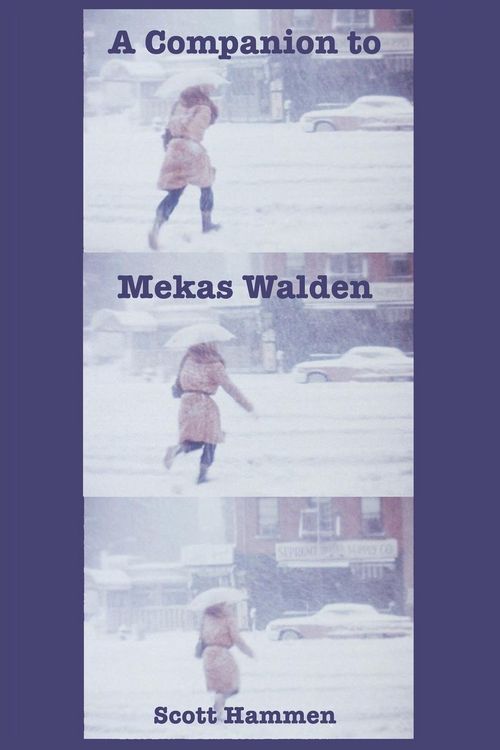 Produktbild: A Companion to Mekas Walden