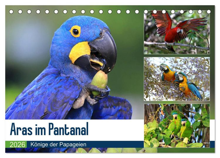 Produktbild: Aras im Pantanal (Tischkalender 2026 DIN A5 quer), CALVENDO Monatskalender