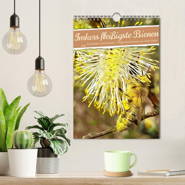 Produktbild: Imkers flei&szlig;igste Bienen - So arbeiten meine Immen &ndash; Originalaufnahmen aus erster Hand (Wandkalender 2026 DIN A4 hoch), CALVENDO Monatskalender