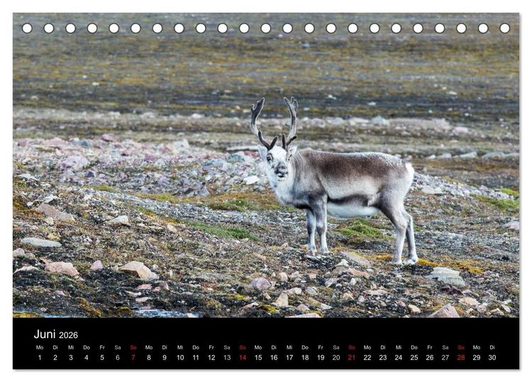 Produktbild: TRAUMZIEL ARKTIS, Impressionen vom Rand der Welt (Tischkalender 2026 DIN A5 quer), CALVENDO Monatskalender