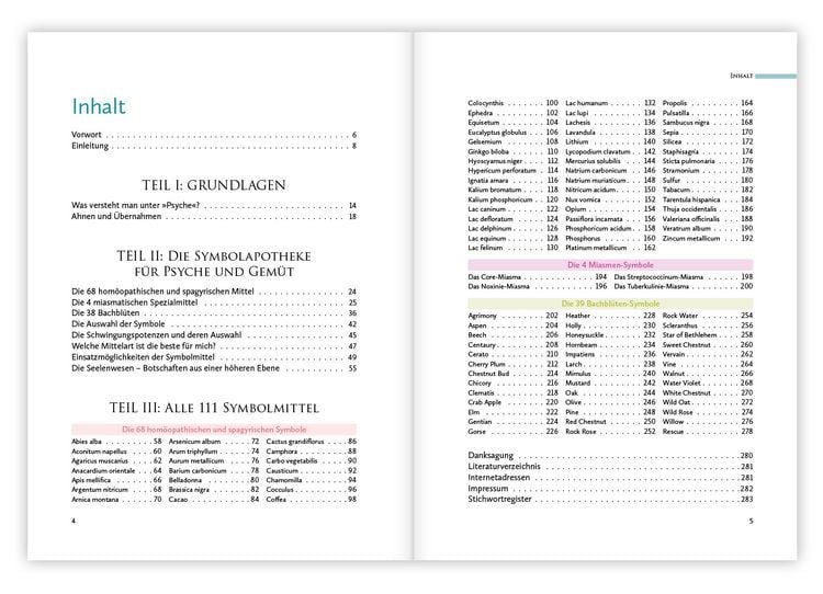 Produktbild: Hom&ouml;opathische Symbolapotheke &ndash; Psyche und Gem&uuml;t