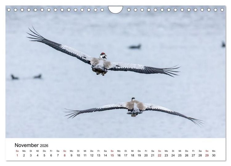 Produktbild: Kraniche im Erzgebirge (Wandkalender 2026 DIN A4 quer), CALVENDO Monatskalender